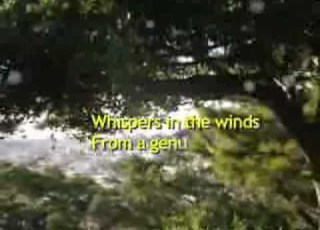  Genuine Soul November 22 2007