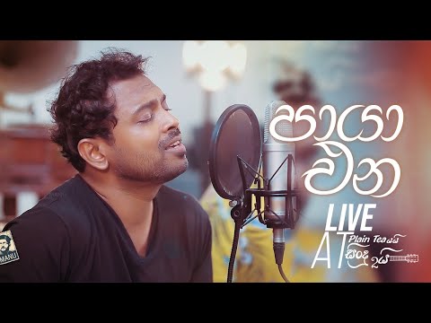 Paya Ena Sandawatha ප ය එන සඳවත Santhush Weeraman Live At Plain Teaයය ස න ද ද කය