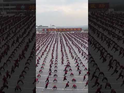 مدرسة لتعليم الشاولين كونغ فو الذي يحب يتسجل فيها يتواصل معي استكشفالصين Higreenpanda الصين