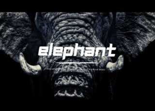 Instrumental Afro Décalé ABIDJAN X Afro Trap X Afro Beat Prod By Saf Ala Prod