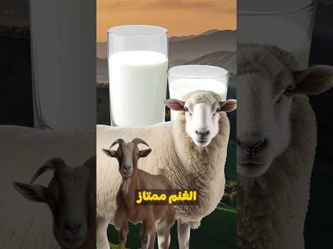 هل كل انواع الالبان سم دكريم على فكر تانى الحليب هل كل انواع الالبان سم دكريم على فكر تانى الحليب