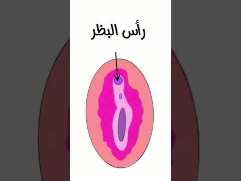 الفرق بين الفرج و المهبل