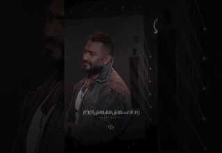 اغاني تامر حسني يا انا يامفيش اصل ماعنديش في الحب هزار يا انا يا بلاش