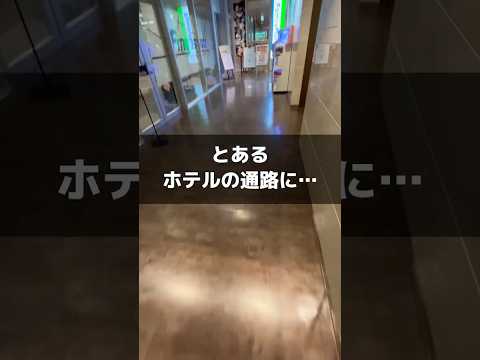 ホテルのゲーセンで遊んでみたら クレーンゲーム