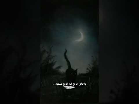 ياخالق الروح ان الروح متعبه