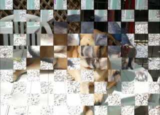 Tony The Dogfather Episode 1