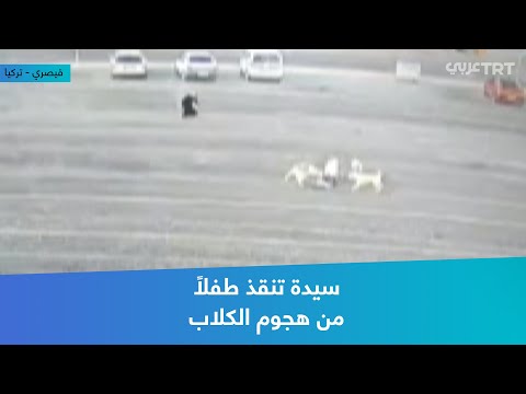 سيدة تنقذ طفلا من هجوم الكلاب