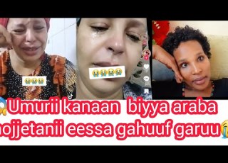  Harmee Akkasii Ta Anii Biyya Arabaa Hojjechuun Yoom Itti Jiraachuufi