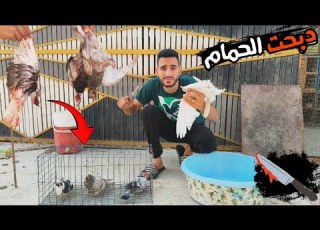 I Slaughtered The Pigeons Weaned The Chicks And Left The Nesting Pigeons They Drove My Eyes Away