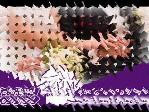 زواج الأجانب في مصر و الإسكندرية مع المستشار الأكثر خبرة هيام جمعه سالم