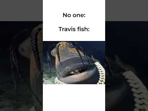 Eee Ye Eya Yaa Memes Goofyahh