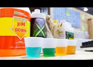 A Beginners Guide Hydroponic Nutrients