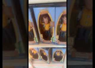 CRAZY New Toy Story Woody Doll Disney Disneyland Toystory5