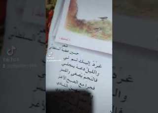 يا بلبلي يابلبلي