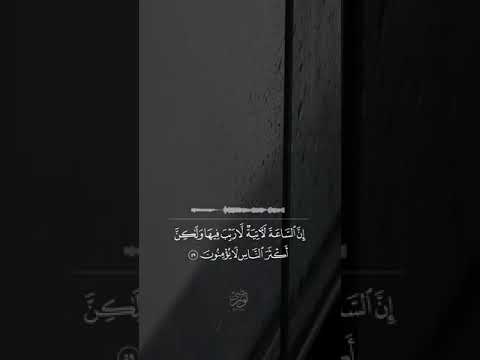 تلاوة للقارئ عمـر الدريويز حـالات واتساب