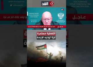  باللغة الروسية عمرو عبدالحميد يهنئ مندوب موسكو بالأمم المتحدة بالعام الجديد