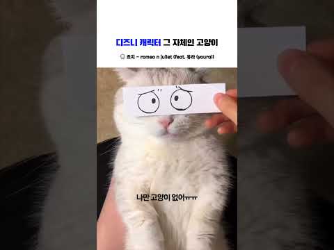 디즈니 캐릭터 그 자체인 고양이 BGM 죠지 Romeo N Juliet Feat 유라 Youra