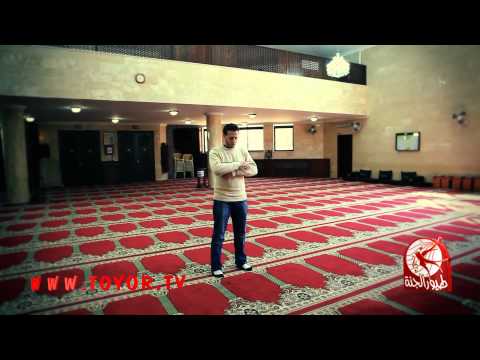 باب الكريم محمد بشار طيور الجنة