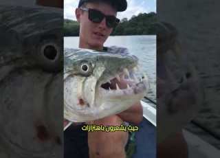 اخطر انواع الاسماك بالعالم ابلور معلومات حقائق معلومات عامة