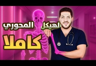 الهيكل المحوري كاملا 2026 الجمجمة العمود الفقري ـ القفص الصدري