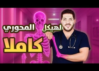  الهيكل المحوري كاملا 2026 الجمجمة العمود الفقري ـ القفص الي