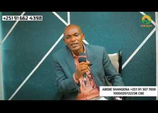 Abebe Shangena