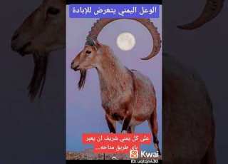  نحن رفض رافض أن مسنا ظلم ظلام بعيدا أو قريبا