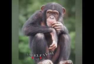 انا لما بقفل من حد المفتاح بيضيع EslamElfaydy