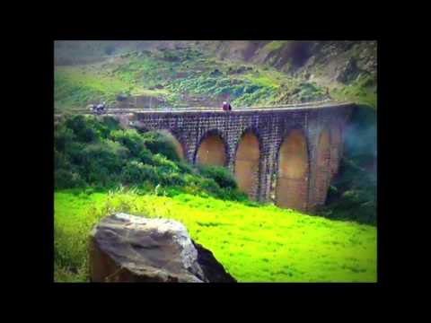 مجوز حوراني جميل وعذب