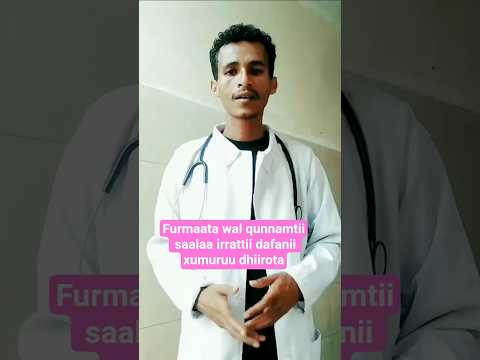 Furmaata Wal Qunnamtii Saalaa Irrattii Dafanii Xumuruu Dhangalaasuu Dhiirota Oromo Facts Shorts Furmaata Wal Qunnamtii Saalaa Irrattii Dafanii Xumuruu Dhangalaasuu Dhiirota Oromo Facts Shorts