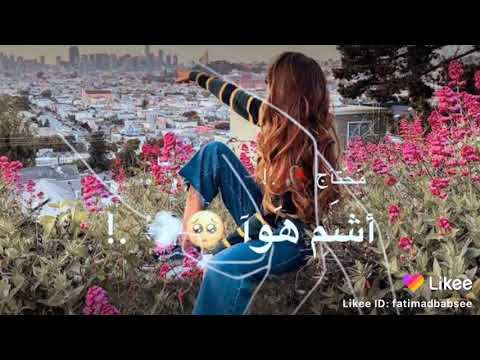 قلبي استوى تعبان ومليش دوا