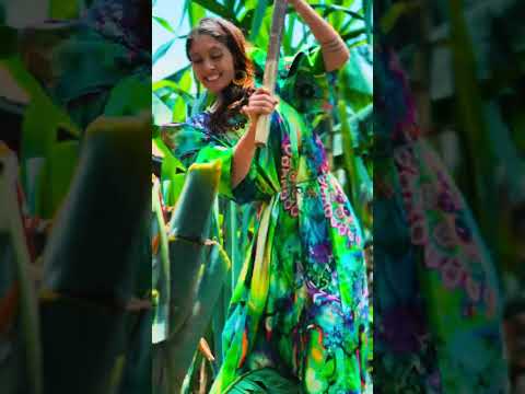 SLYVIA ASIMISIZA OMUZUNGU OBUKOPA