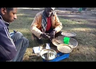 Digelu Wheat Quality Measurement