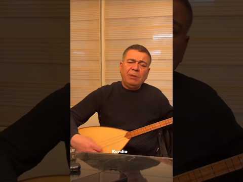 Hozan Dino Shirina Mn