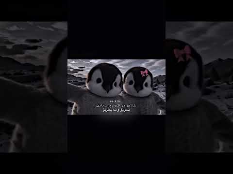 انا بطريق وانت بطريق