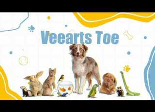  2 JULY 2026 Goeiemôre Good Morning LIFESTYLE OLYMPUS ANIMAL HOSPITAL
