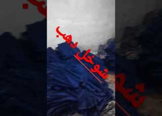 شوخل راع