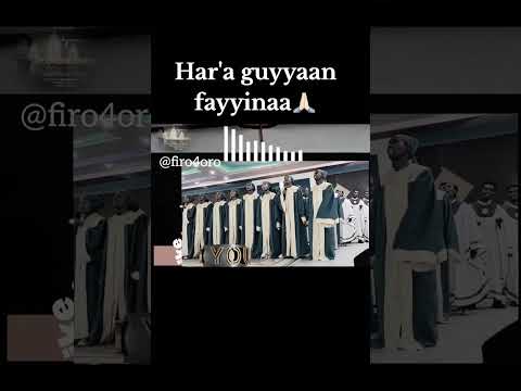 Har A Guyyaan Fayyinaa