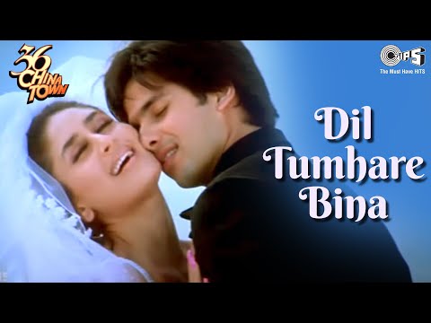 Dil Tumhare Bina Shahid Kapoor Kareena Kapoor Himesh Reshammiya Alka Yagnik 36 China Town