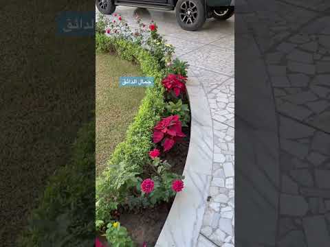 اجمل حديقة منزل
