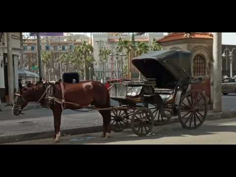 طير بينا يا قلبي محمد فوزي