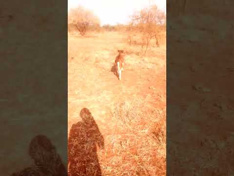 NG OMBE MWENYE AKILI