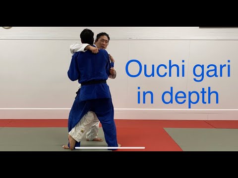 Ouchi Gari In Depth