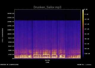  Drunken Sailor Mp3