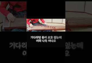 상사화 역적 Ost 가야금 연주 동강음악원 가야금 한국가요 가야금학원 안예은 상사화 사극ost 역적ost 12현가야금