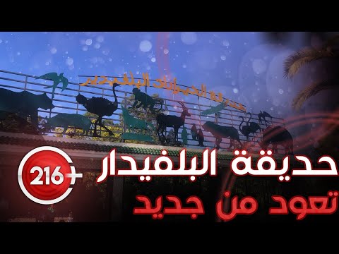 حديقة البلفيدار تعود من جديد