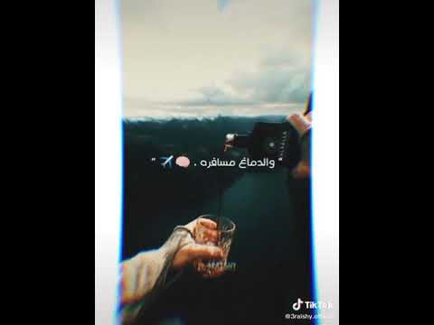 شارب شوالين تيكيلا والدماغ مسافره