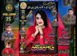  Zemal Zaibi New Balochi Song Volume 25