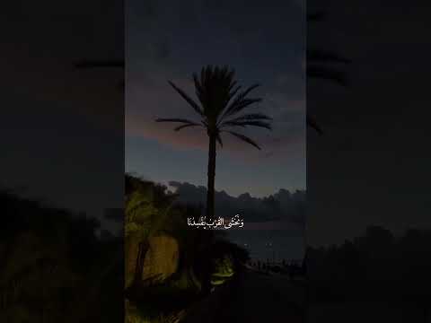 ن سير م ع الحياة أنس البرقي