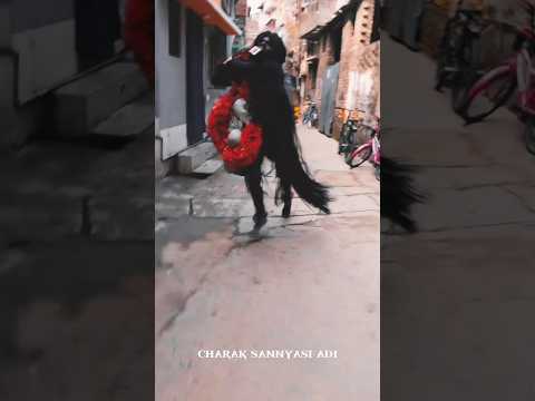 Charak Puja Hajra Chalan Hajra Dance Charakpuja2025 Funk